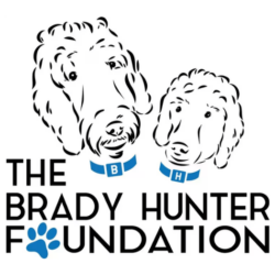 The Brady Hunter Foundation